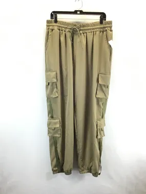 Pants Cargo & Utility By Clothes Mentor In Green, Size: 2x